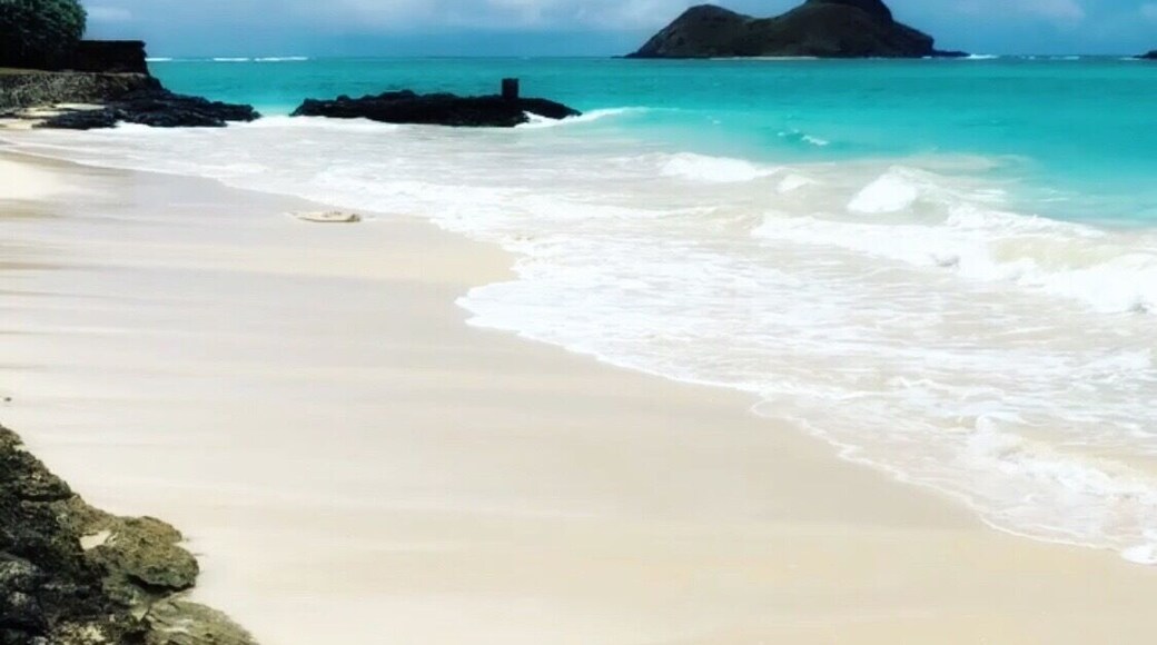 Have you ever seen a more perfect beach than Bellows Beach 🏖? Literally, I was speechless!!😶White sand powder, gorgeous clear teal beach and warm water.💦 This Beach on my picture is located inside the military base. However, there is an area outside of the base that’s dedicated for public use. But it is not nearly as stunning as this one. Besides the Lanikai Beach, this one is another of my favorite place to swim.