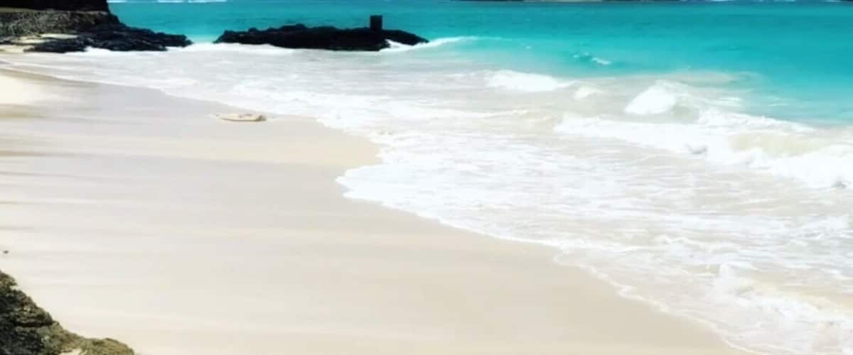 Have you ever seen a more perfect beach than Bellows Beach 🏖? Literally, I was speechless!!😶White sand powder, gorgeous clear teal beach and warm water.💦 This Beach on my picture is located inside the military base. However, there is an area outside of the base that’s dedicated for public use. But it is not nearly as stunning as this one. Besides the Lanikai Beach, this one is another of my favorite place to swim.