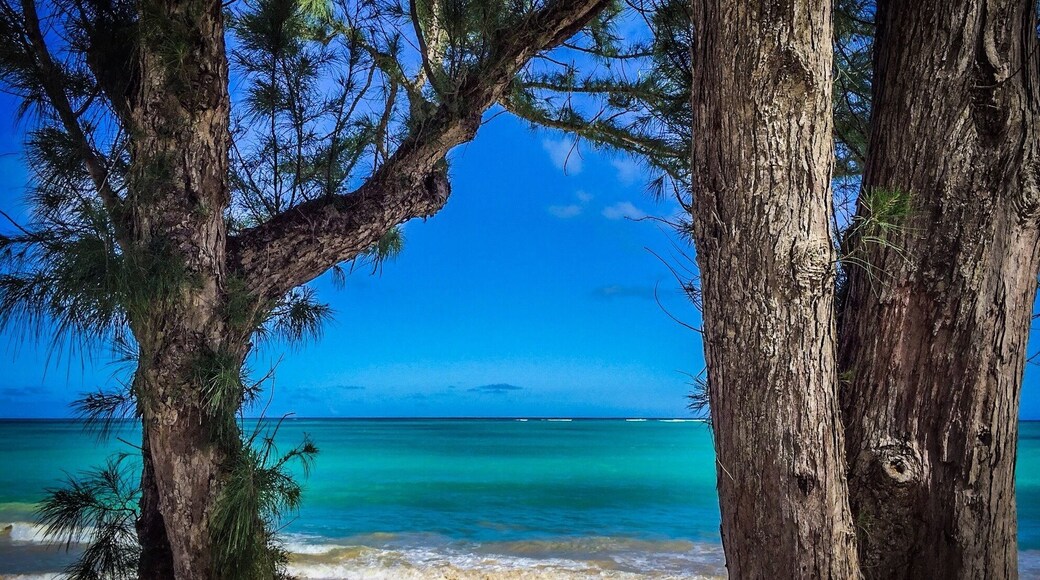 Windward side of Oahu