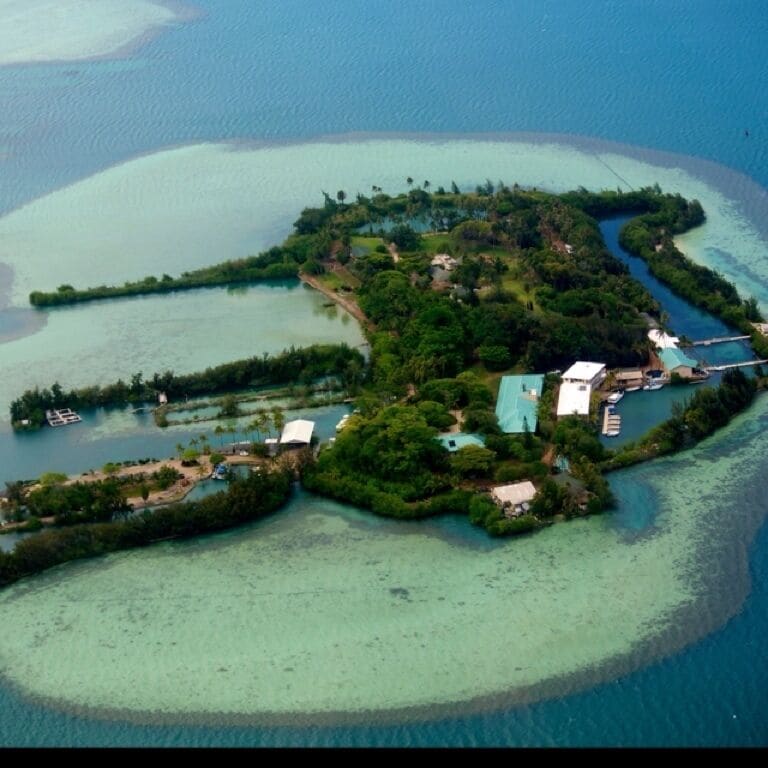 Gilligan's Island anyone?