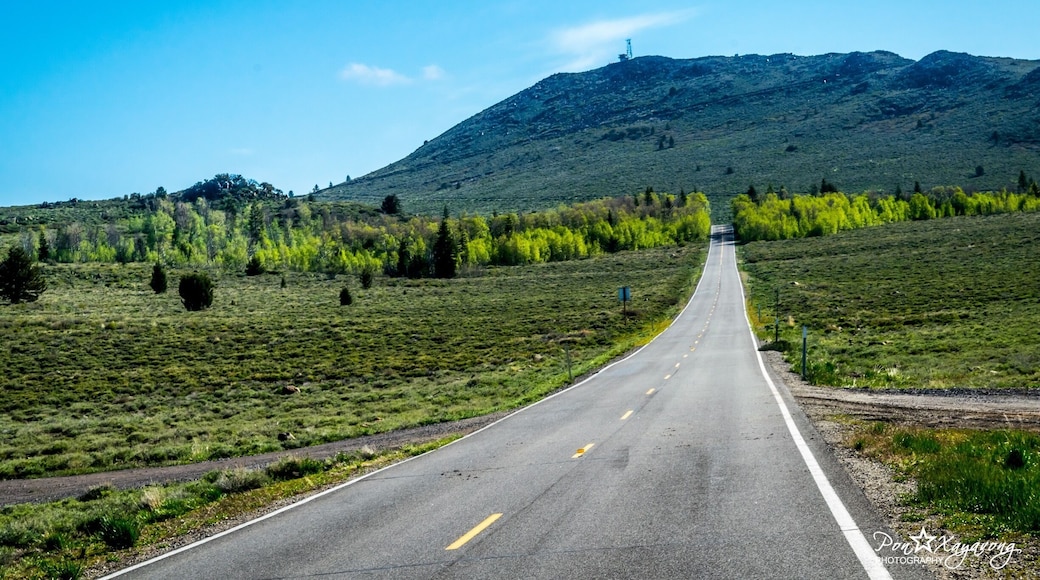 Road US Highway 395 to Mono Lake