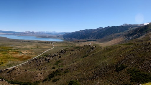 ๋ธ๋ฆฟ์งํฌํธ