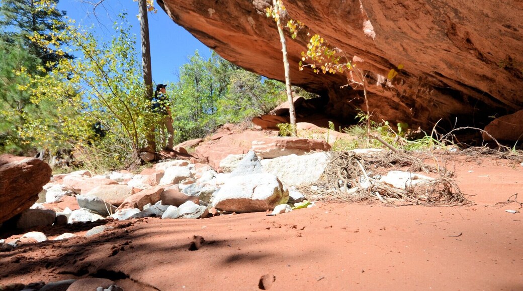 Knowing that when you're following his tracks, he's really the one stalking you.