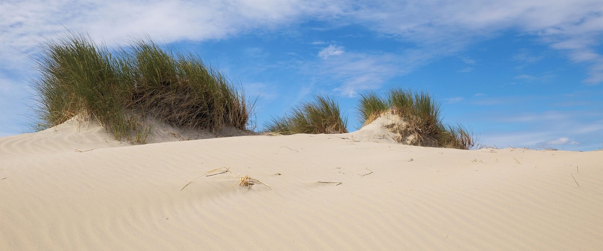 Borkum, dunes