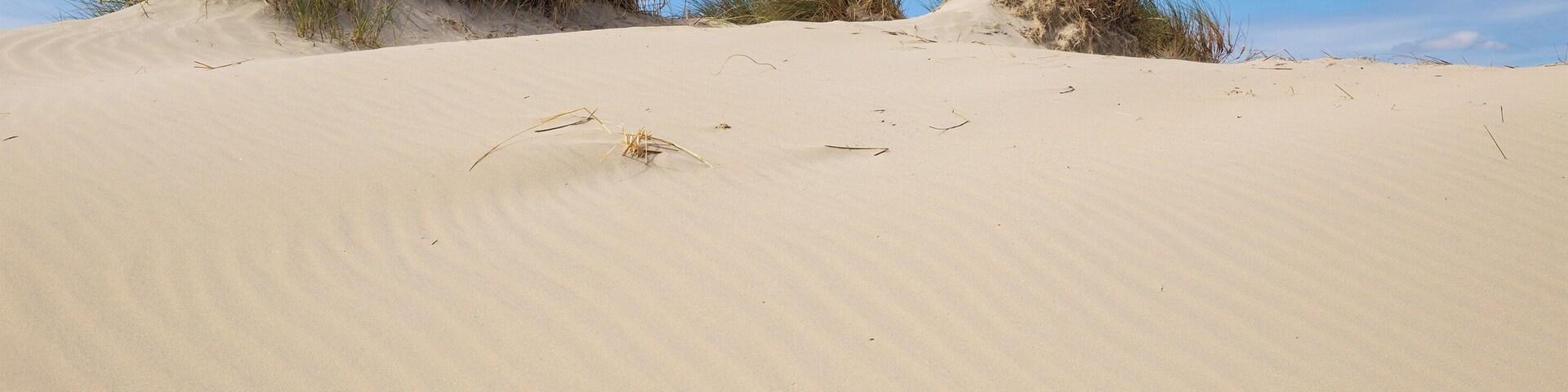 Borkum, dunes