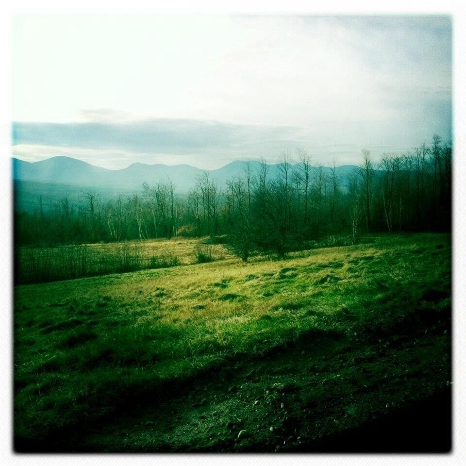 Just on our way to pick up some fresh maple syrup!