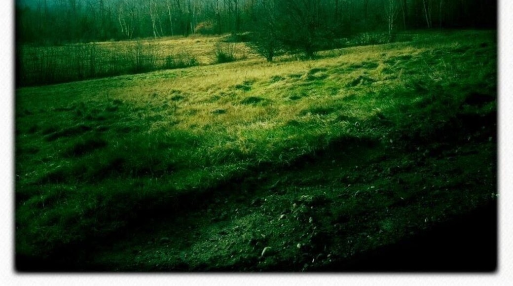 Just on our way to pick up some fresh maple syrup!