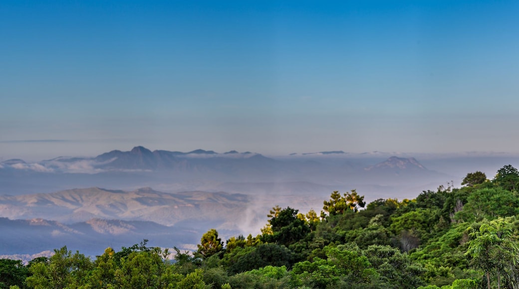 A mountainous landscape with dense forests and a range of mountains in the distance.