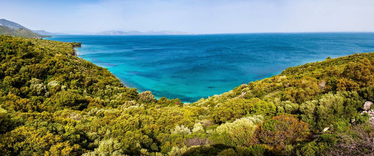 A coastal landscape with dense green vegetation and a clear blue sea.