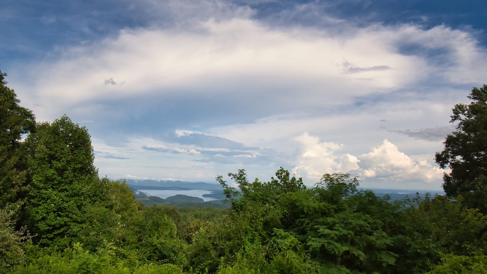 A lush green landscape with dense foliage and a partly cloudy sky.