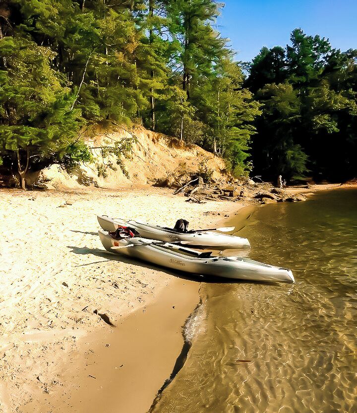 So much to do at Devil's Fork. Fishing, boating, camping, all water sports, Scuba Diving, hiking and so much more. https://southcarolinaparks.com/devils-fork/top-5