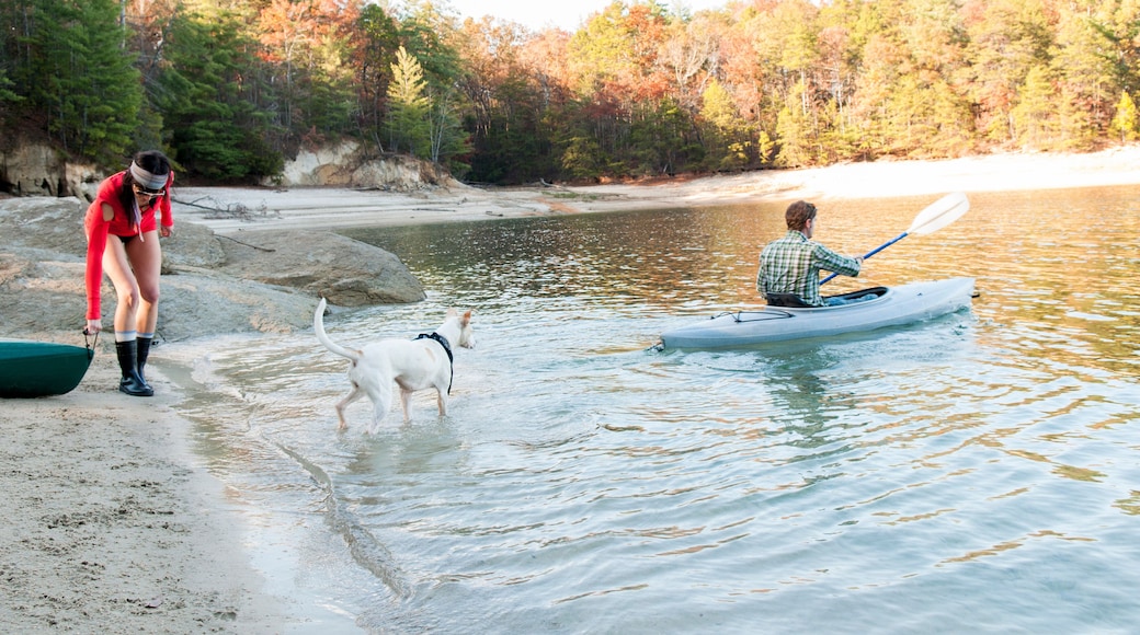Couple kayaking in remote lake