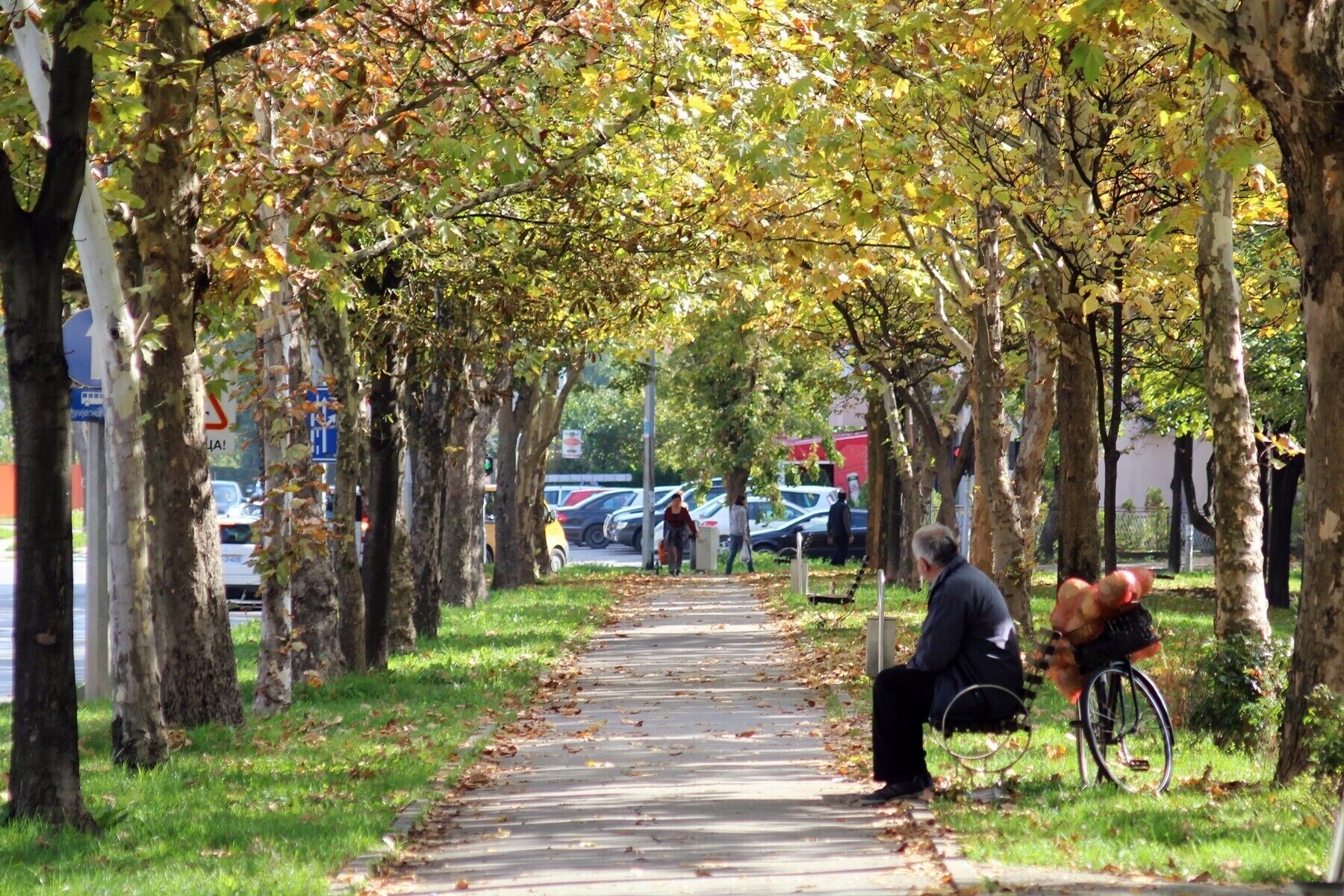 Banja Luka is known as the city of hundred avenues with chestnut trees