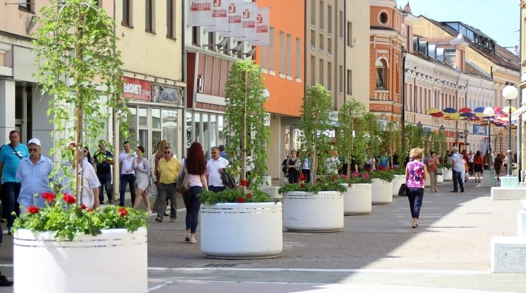 Flowers, trees and umbrellas