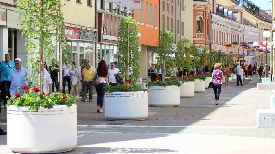 Flowers, trees and umbrellas