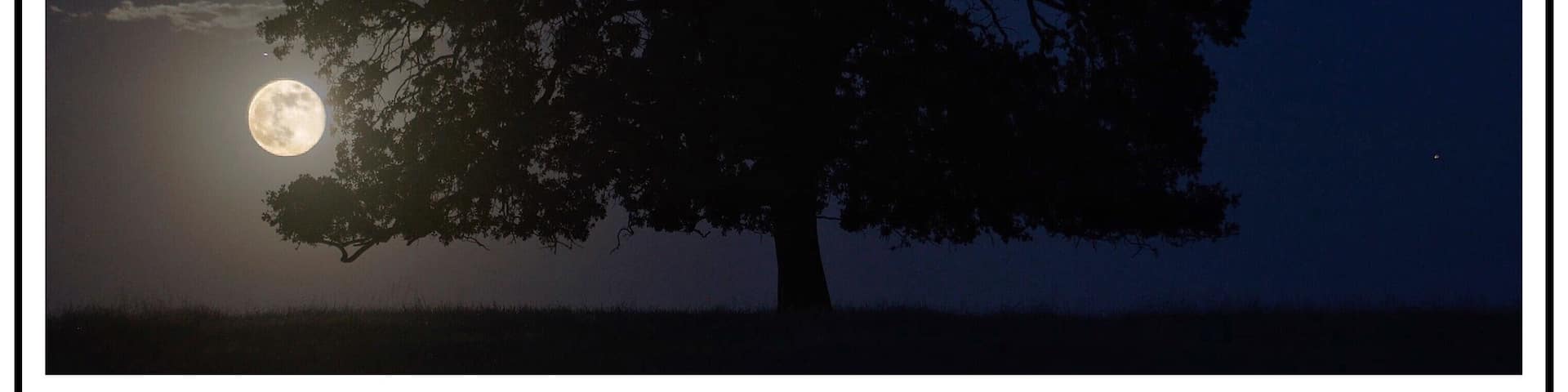 A nicely shaped oak tree which captures the rising blue moon within its branches. Millville Plains Rd. Millville, CA East of Redding, CA.
#BVSBlue