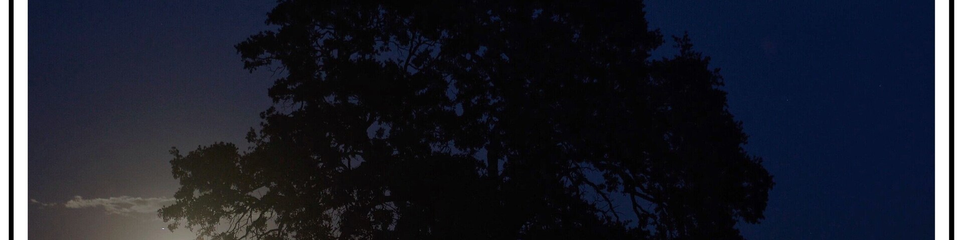 A nicely shaped oak tree which captures the rising blue moon within its branches. Millville Plains Rd. Millville, CA East of Redding, CA.
#BVSBlue