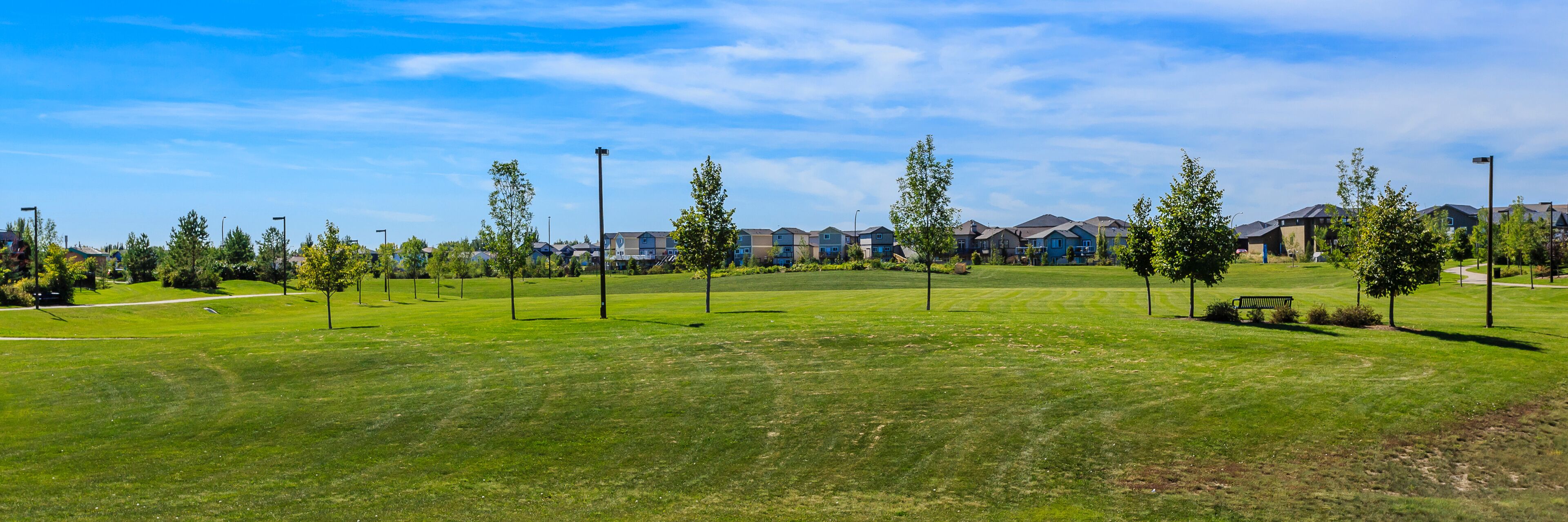 A well-maintained grassy area with evenly spaced trees and a row of modern townhouses in the background.