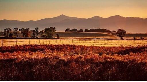 Evening Light. Millville California. Looking west over the Millville Plains.
#golden