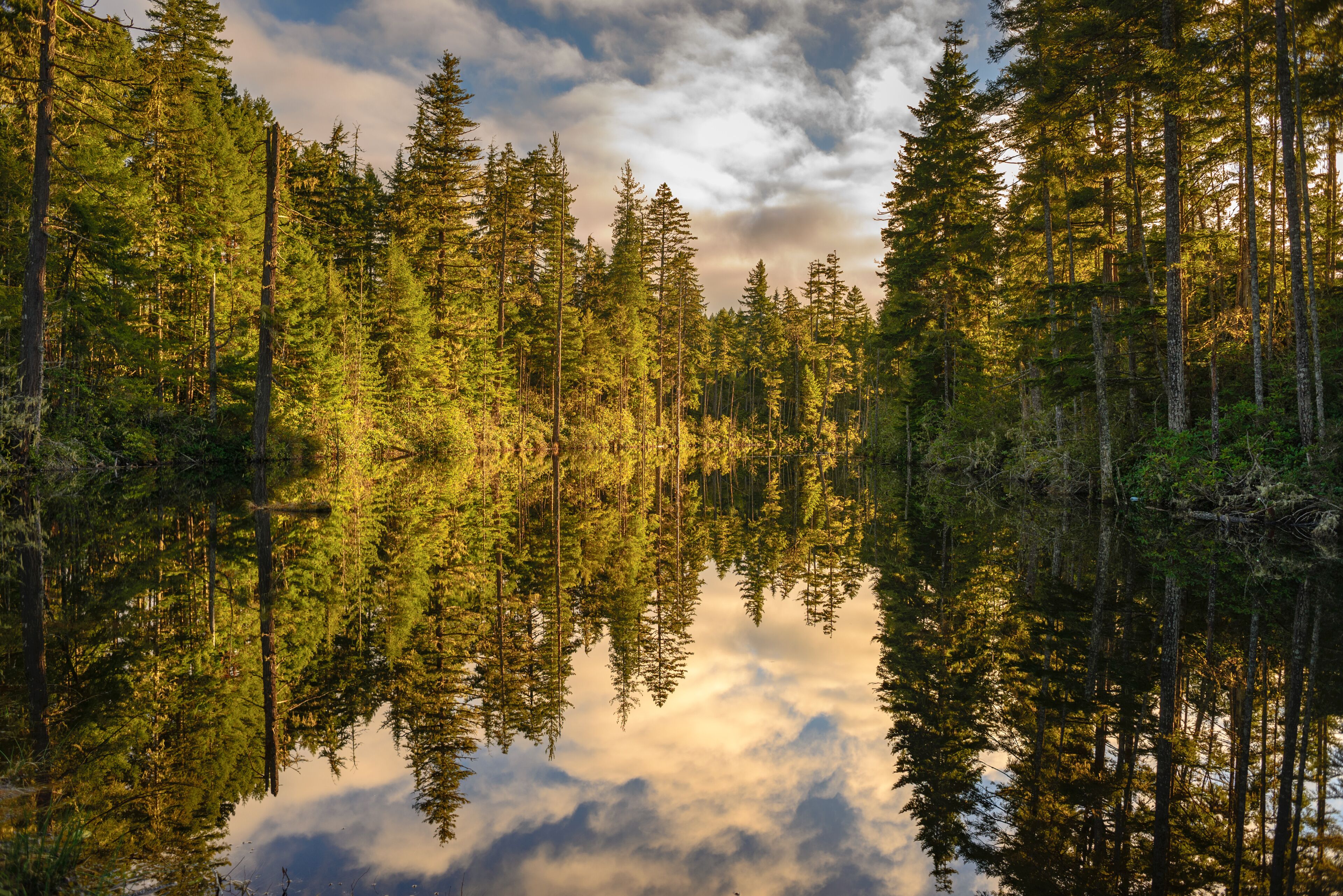 Headwaters, Anderson Creek