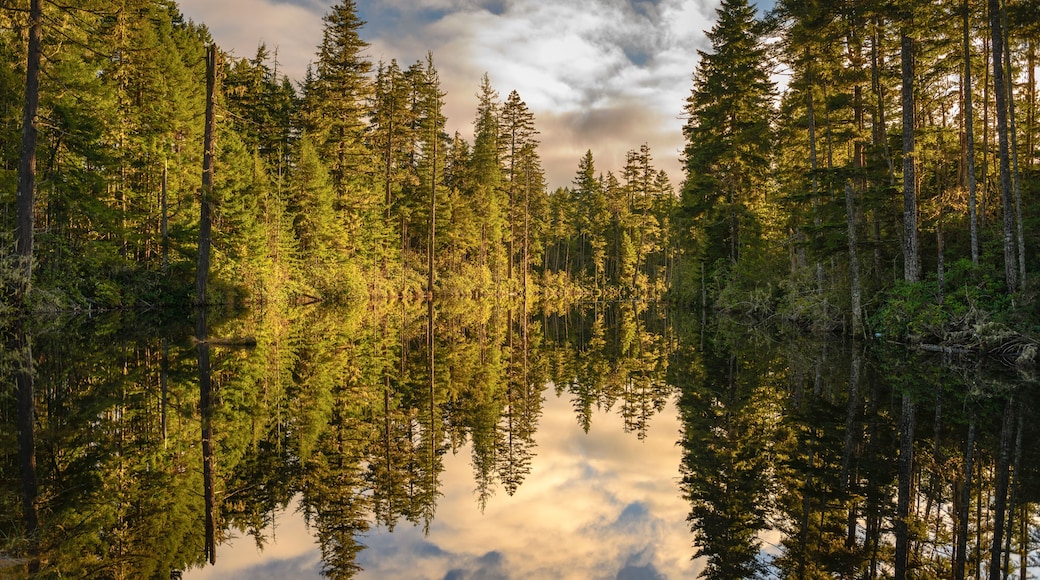 Headwaters, Anderson Creek