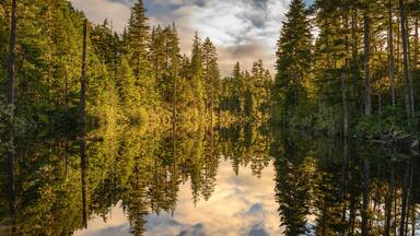Headwaters, Anderson Creek
