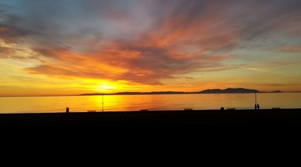 #GoldenHour
Prestwick Beach just a 50min drive from Glasgow.