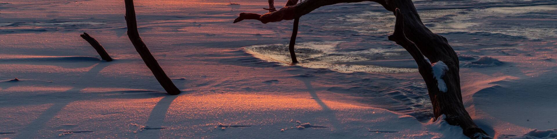 sunrise at Ned Brown Preserve, Rolling Meadows, IL