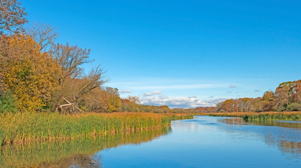 Calm Waters and Skies in the Fall