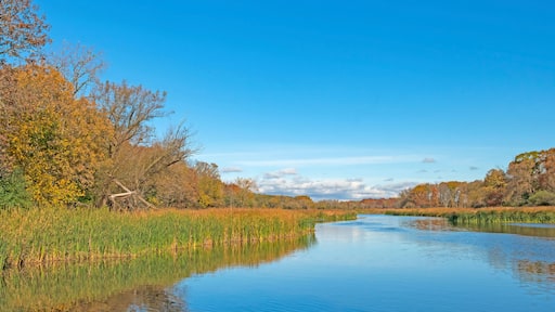 Calm Waters and Skies in the Fall
