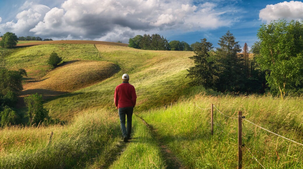 A hike in an amazing landscape with rolling hills. Hiker walking on a scenic path through meadows.