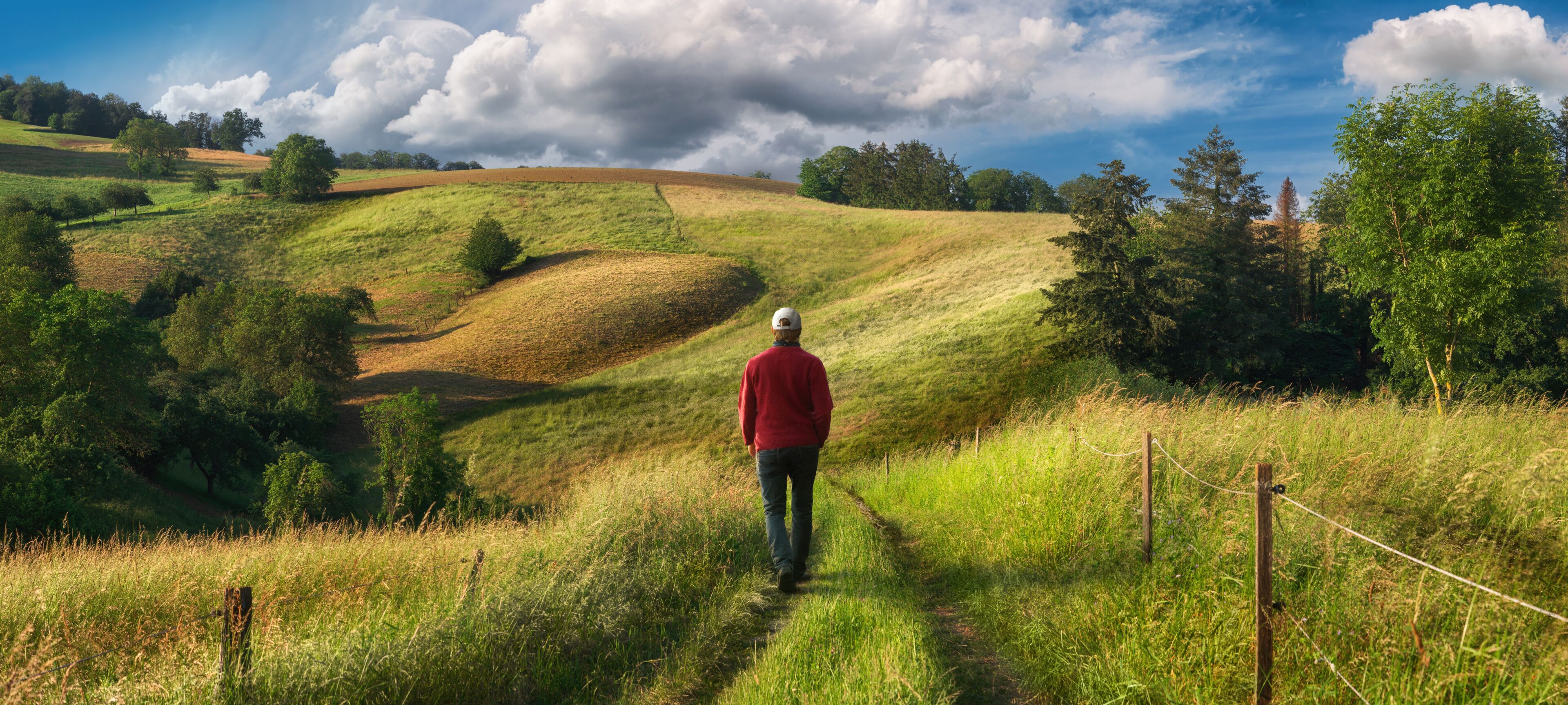 A hilly landscape with a person walking on a path, surrounded by trees and grass.