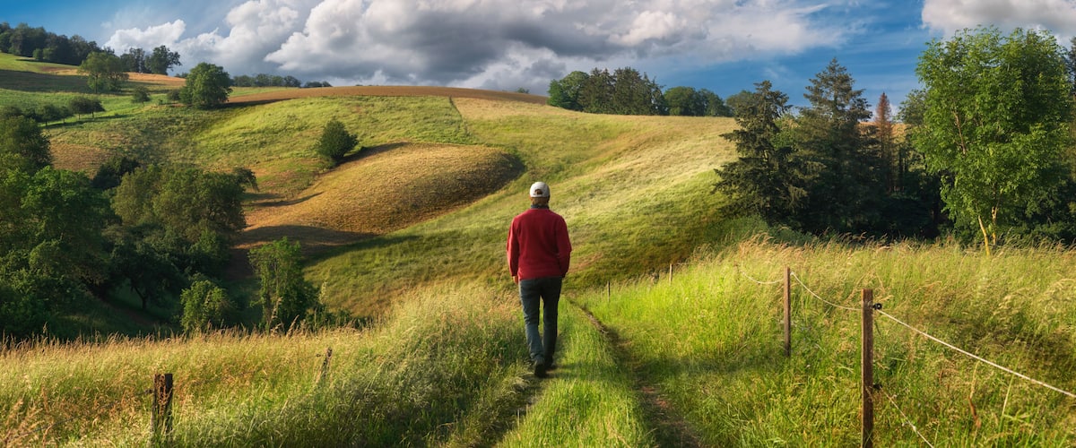 A hilly landscape with a person walking on a path, surrounded by trees and grass.