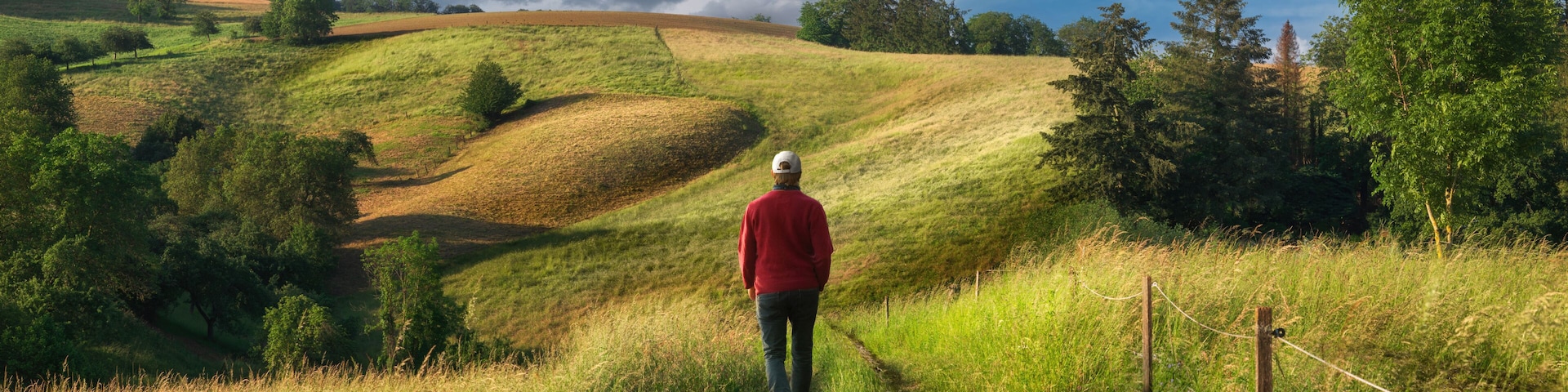 A hilly landscape with a person walking on a path, surrounded by trees and grass.