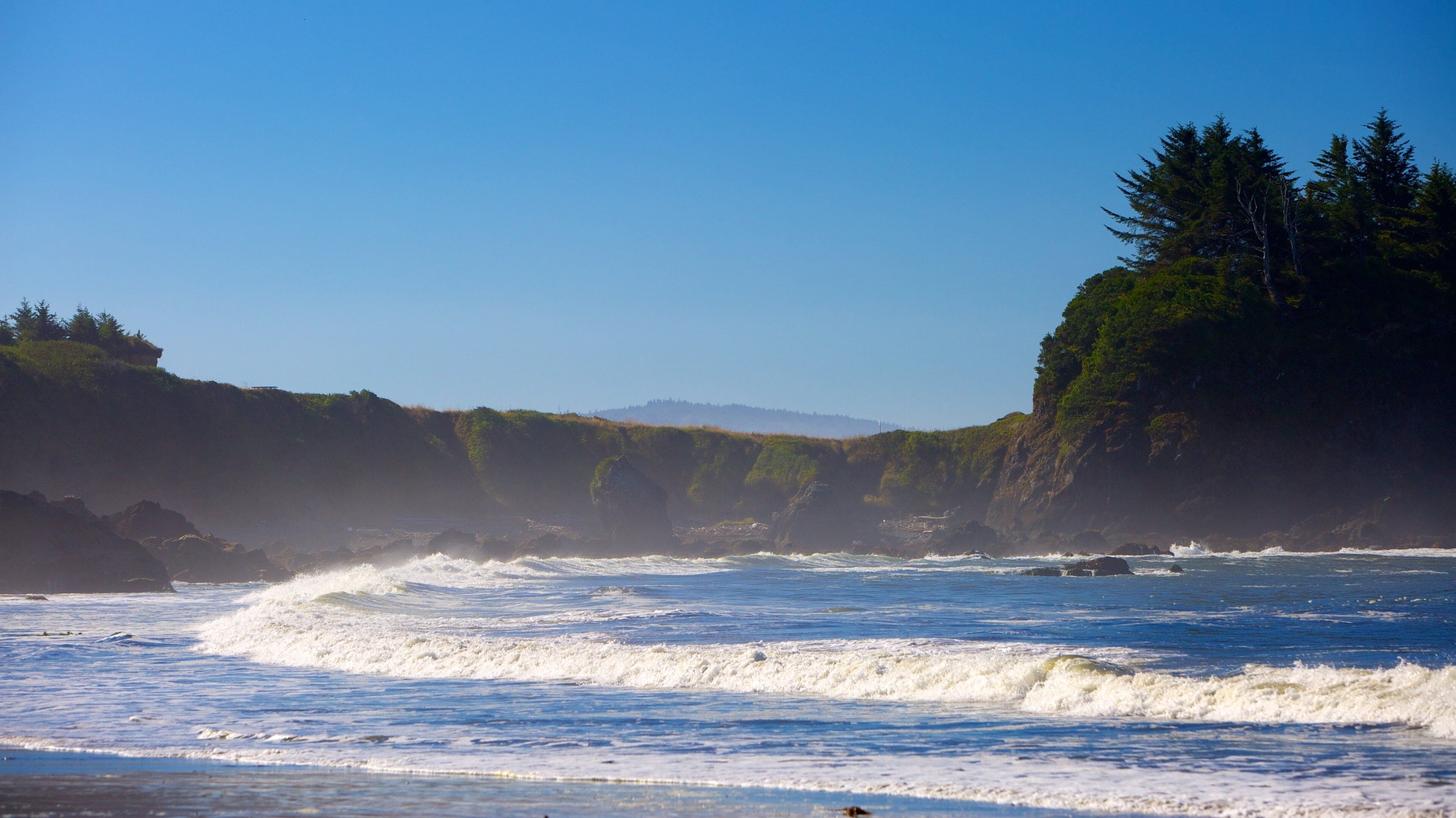 Brookings featuring waves