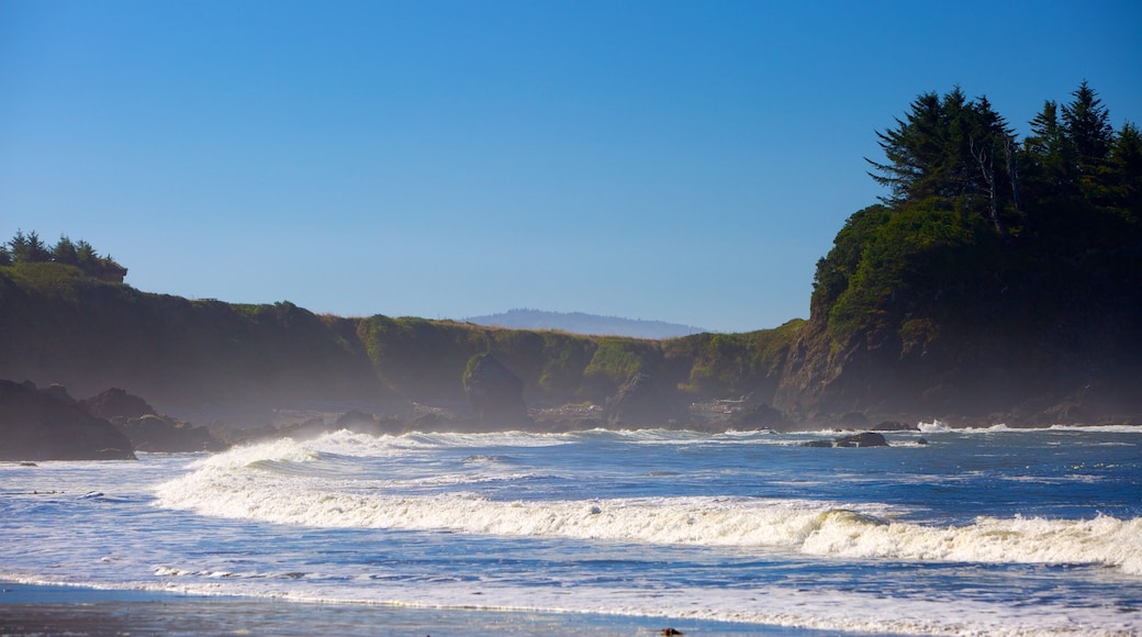 Brookings featuring waves