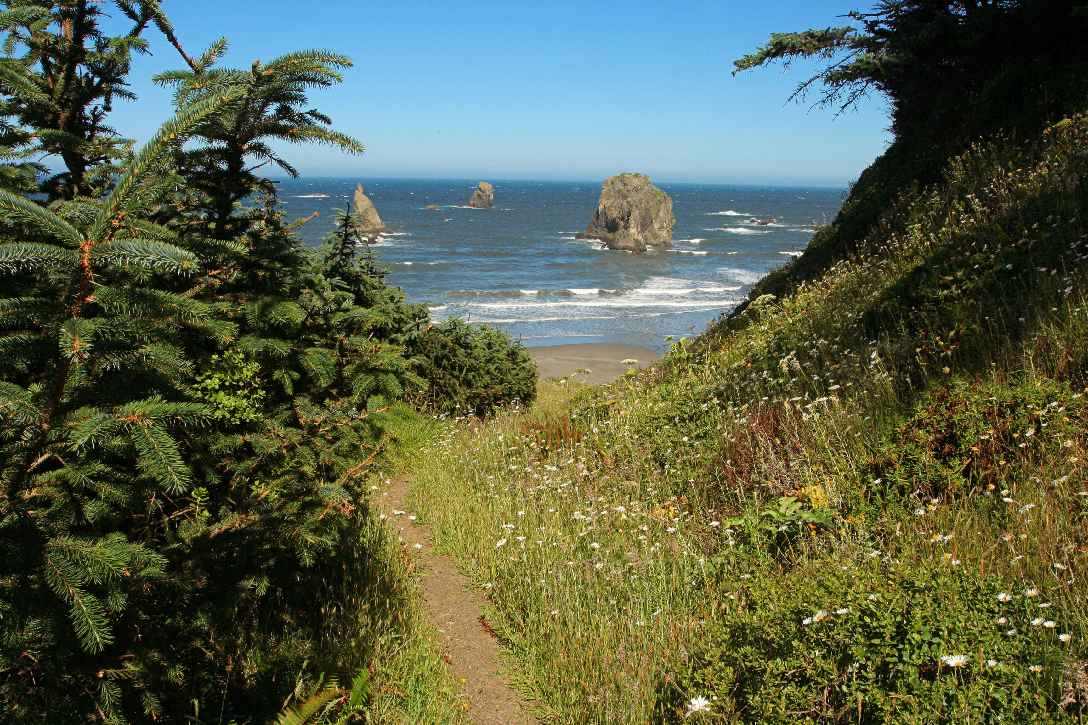 North Island Trail; Brookings, Oregon