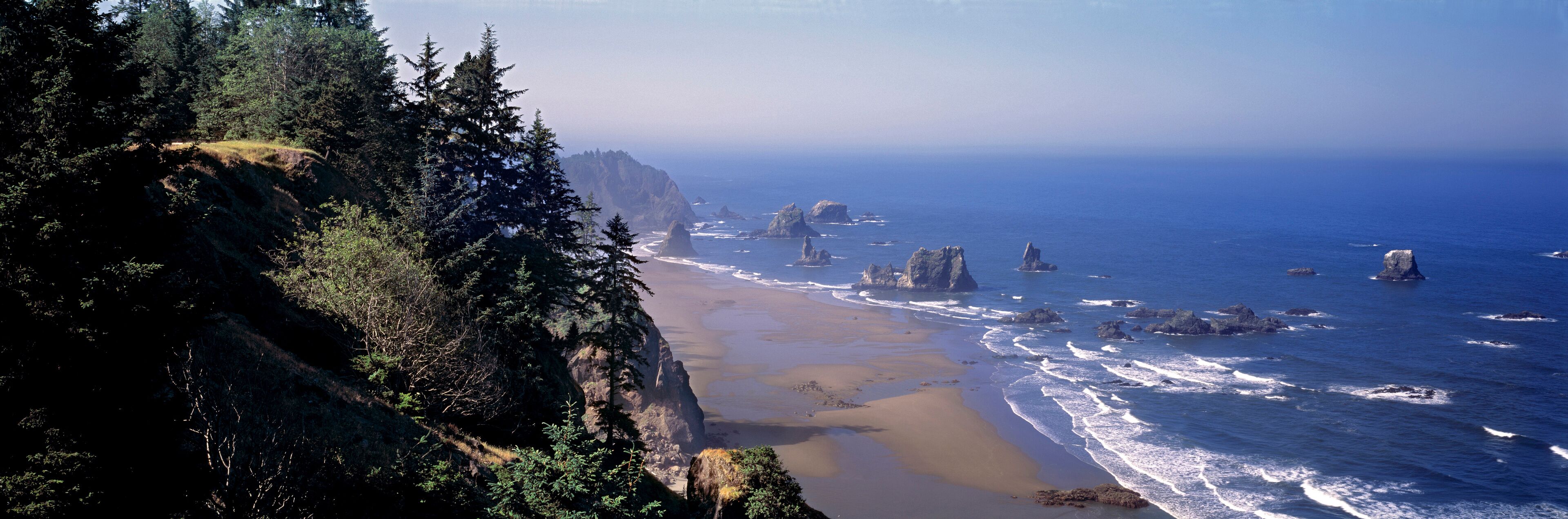 USA, Oregon, Brookings. Seastacks are common on the coast in the Brookings area, Oregon.