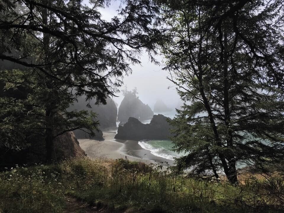 Hidden misty beauty reveals itself to you among the forest. Quite easy to reach there by car. Just park your car on the main road and have a 10 mins walk down the Secret Beach. #LifeAtExpedia