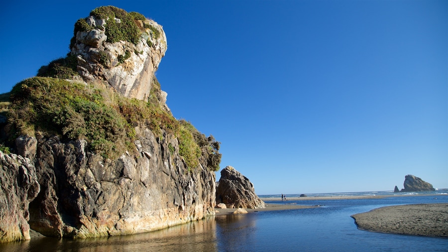 Brookings which includes a sandy beach and rugged coastline
