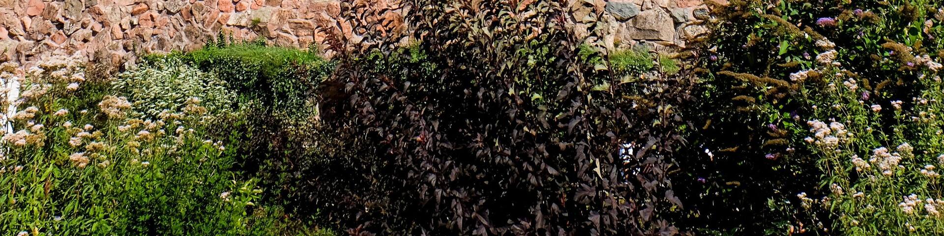 Overlooking the City of Belfort is the famous Lion. It is a monumental sculpture
of 22 metres long and 11 metres high by Frédéric Auguste Bartholdi, sculptor of the Statue of Liberty,
The lion symbolizes the heroic French resistance during the Siege of Belfort, a 103-day Prussian assault from December 1870 to February 1871.