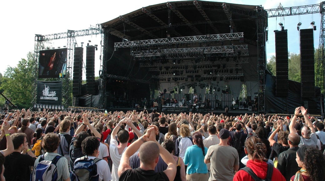 Belfort which includes performance art, a festival and music