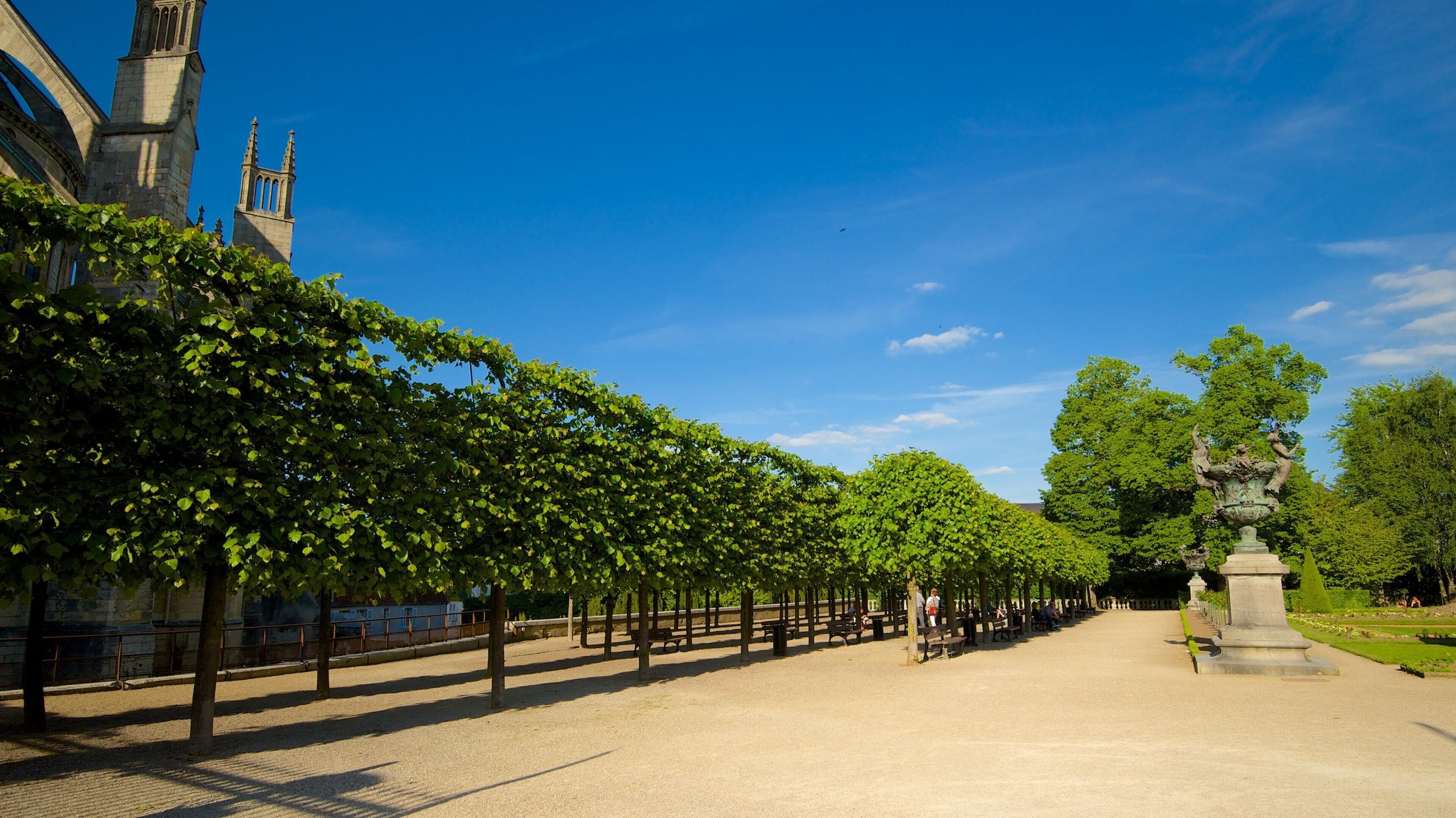 Bourges featuring a garden