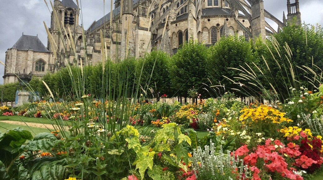Amazing gardens around the beautiful cathedral in Bourges ❤️
#History