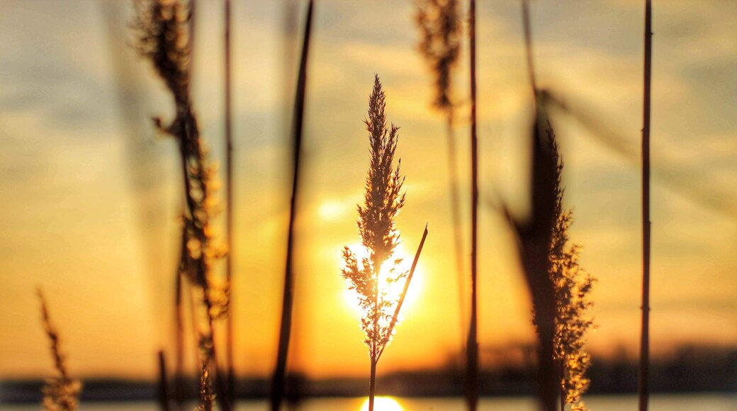 Nature from a different perspective #adventure