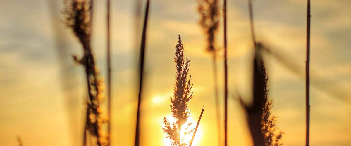 Nature from a different perspective #adventure