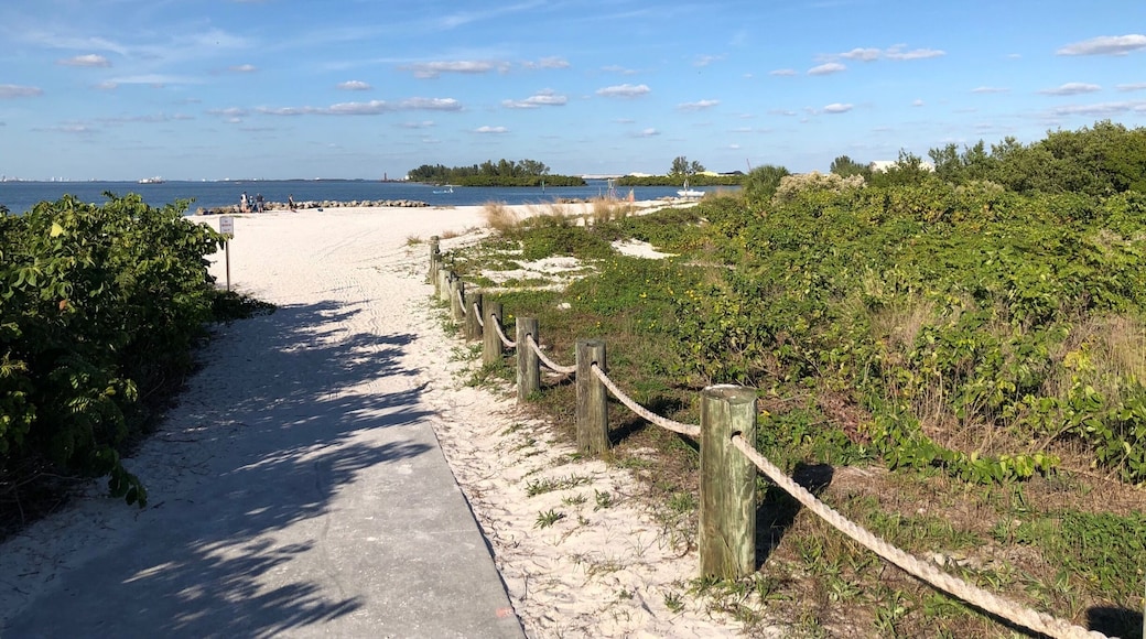 A hidden gem of a beach in the Tampa Bay area.
#beach