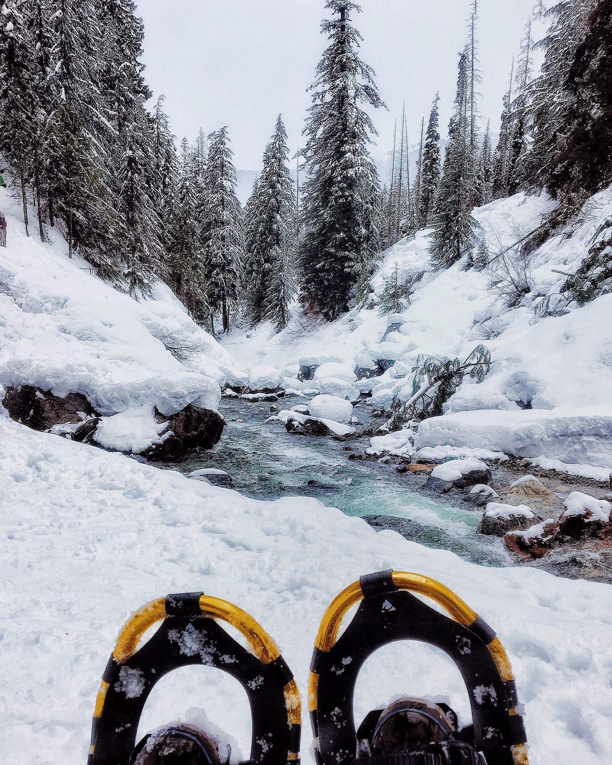 Snowshoeing Adventures  #roadtrip #weekendgetaway #winterdestination #winter #snow #travel #adventure #nature #hiking #snowshoeing