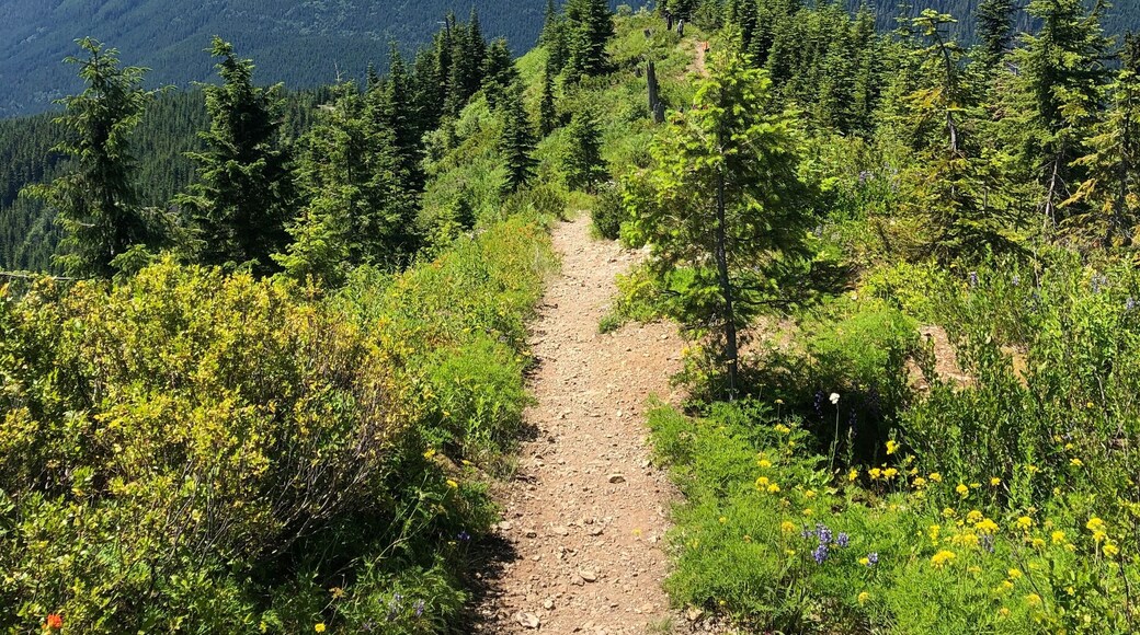 Meadow Mountain Trailhead