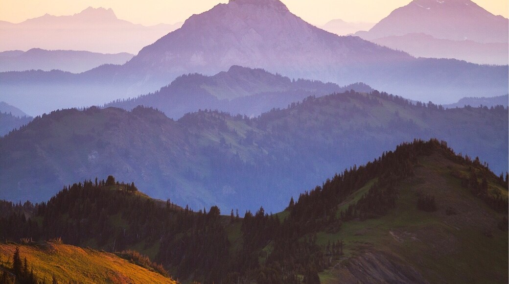 One of my favorite hikes in the North Cascades in Washington.
This 9 mile roundtrip hike takes you to some incredible mountain views. It does have quite a bit of elevation gain, 2500 feet to the top.